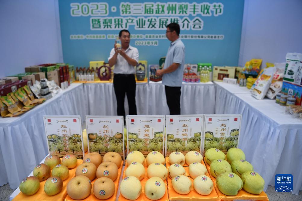 巴黎人赌博赚钱